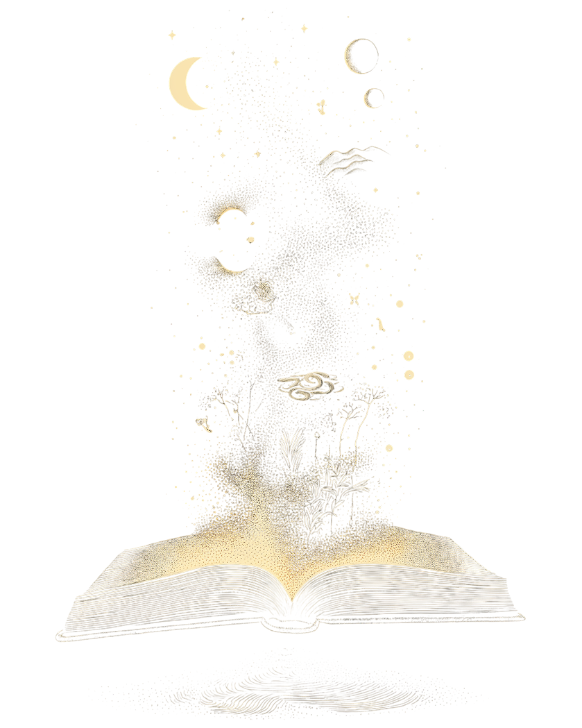 An open book releasing dream symbols into the night sky